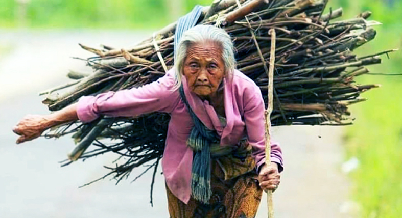 Điển tích: Cây muốn lặng mà gió chẳng ngừng, con muốn phụng dưỡng mà cha mẹ không còn nữa