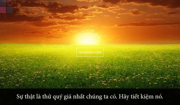 Điều gì xảy ra nếu tất cả chỉ nói sự thật?