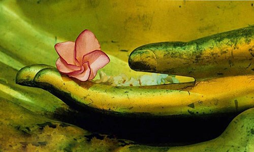 Do duyên mà hiện khởi