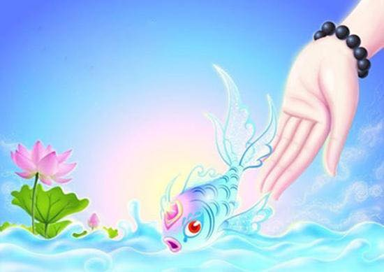 Đôi điều về phóng sanh