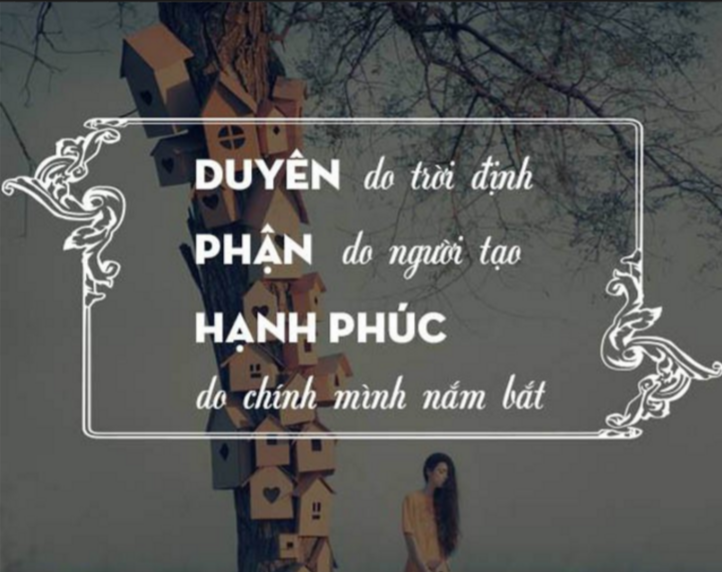 Đời này, duyên phận là thứ không thể cưỡng cầu,