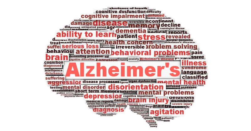 Giảm nguy cơ Alzheimer từ thực phẩm