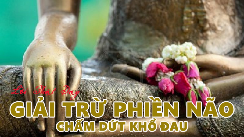 Giết gì được Phật khen?