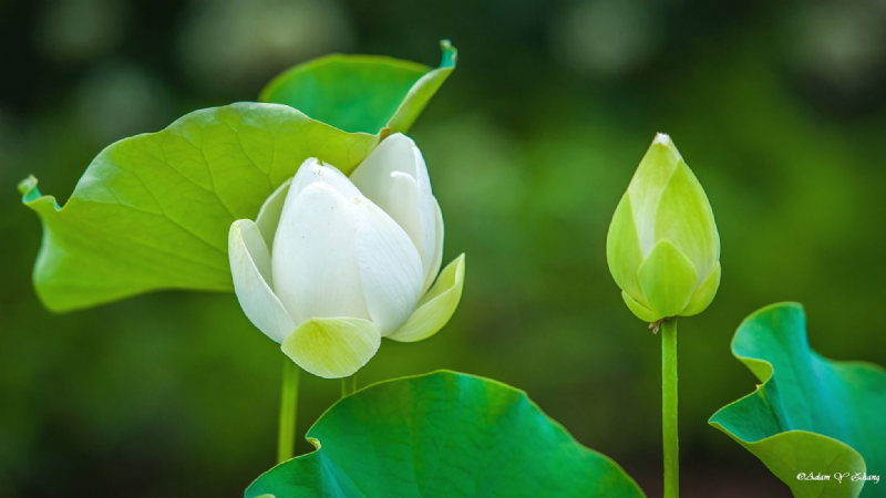 Giữ giới để tăng phước