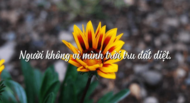 Hàm nghĩa câu: “Người không vì mình trời tru đất diệt”