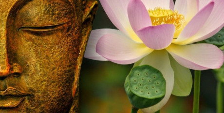 Hàm nghĩa của chữ 'Phật'