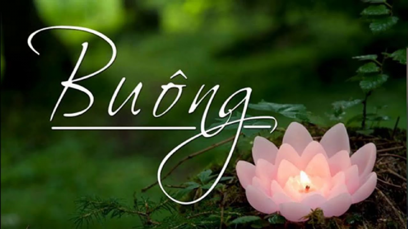 Hãy bỏ bớt những gánh nặng cuộc đời!