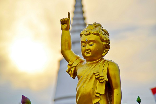 Hãy giơ tay vẫy chào
