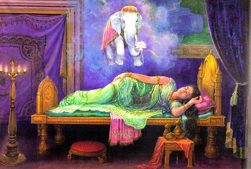 HỘ MINH BỒ TÁT THỌ THAI HOÀNG HẬU MA GIA THỊ HIỆN TẠI CÕI TA BÀ.