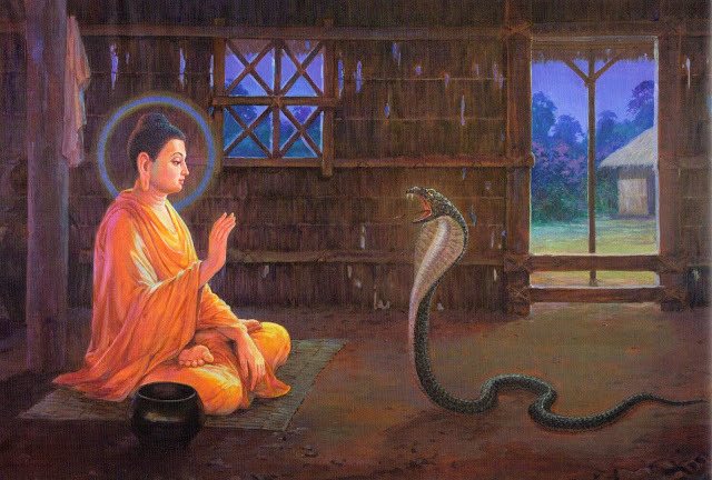 Kệ trừ rắn độc