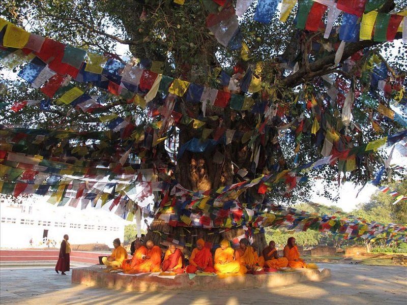 Khám phá đất Phật Ấn Độ
