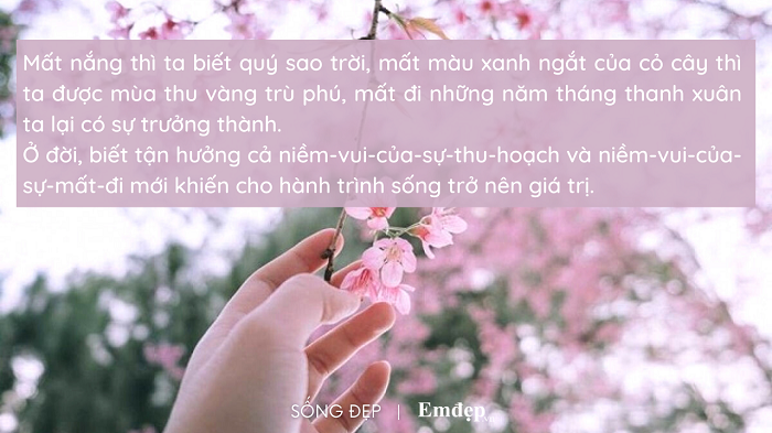 Khi 'có' đừng vội ước ao điều mới mẻ, khi 'mất đi' đừng ôm chấp niệm mãi không buông...