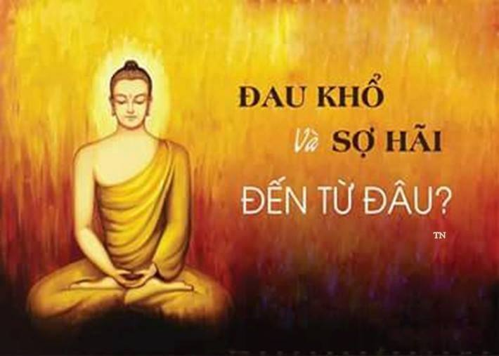 Khổ đau đến từ đâu
