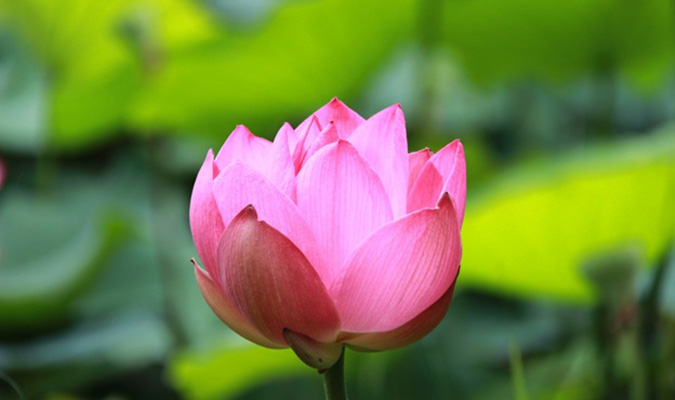 Kiến Văn Giác Tri