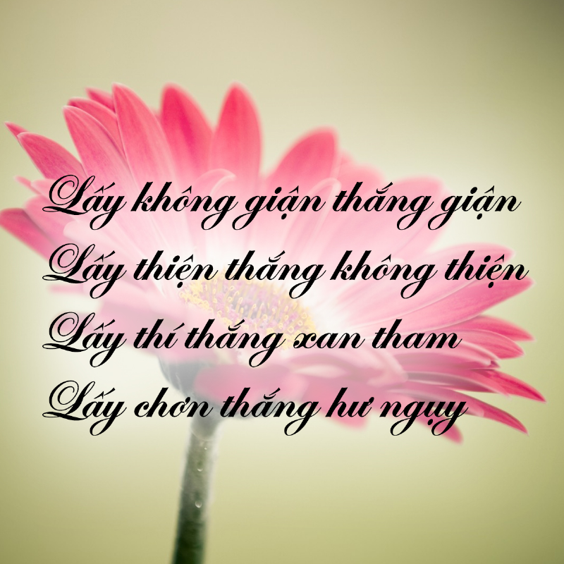Lấy oán báo oán, oán mãi chất chồng. Lấy đức báo oán, oán ấy tiêu tan!