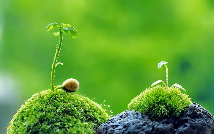 Luật nhân quả bắt nguồn từ đâu?