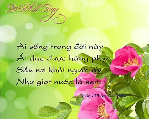 Luyến ái buộc ràng