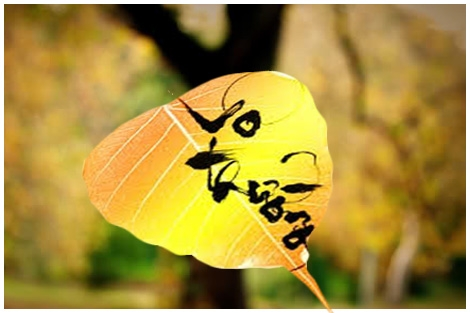 Mạng người Vô thường