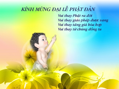 Mơ Một Mùa Phật Đản