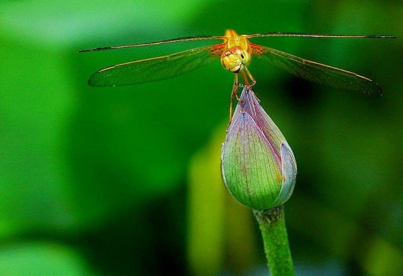 Mối Lo Của Con Người
