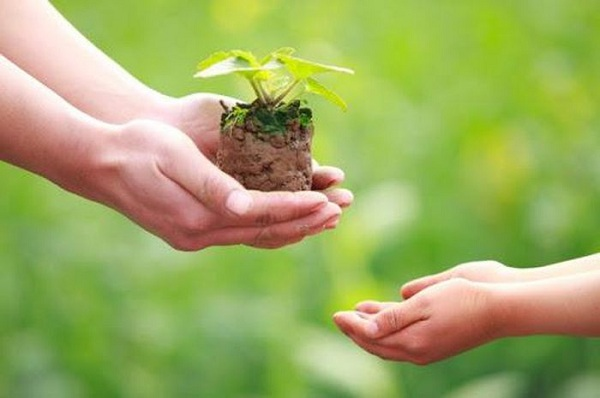 Muốn làm việc thiện tâm phải gieo giống thiện lành