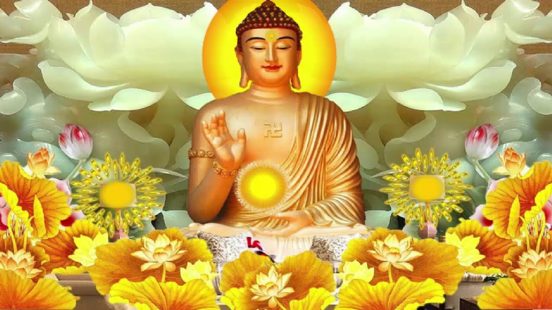 Năm thứ báu khó có được ở đời