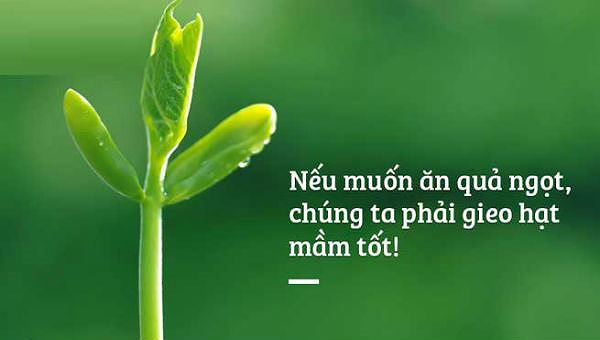 Nếu chiếc bánh mì ấy có thuốc độc