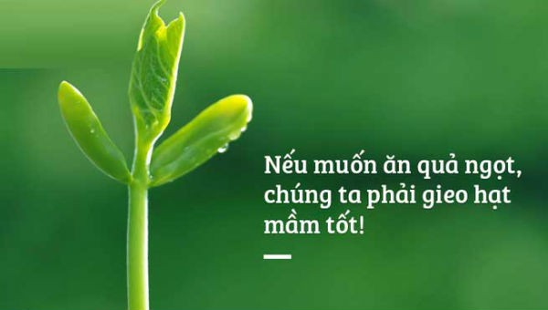 Nếu đánh mất đi...