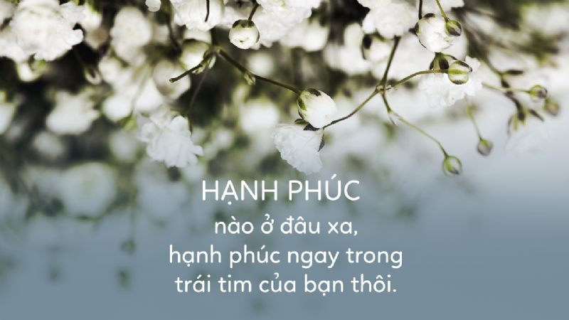 Nghĩ khác đi để hạnh phúc giữa ưu phiền