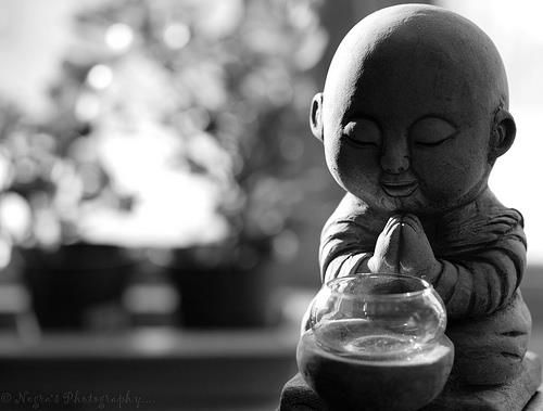 Người Không Tranh Giành Không Phải Người Ngốc Mà Là Người Có Phúc!