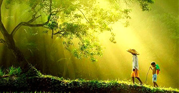 Nguồn gốc câu thành ngữ “Thuốc đắng dã tật, sự thật mất lòng”
