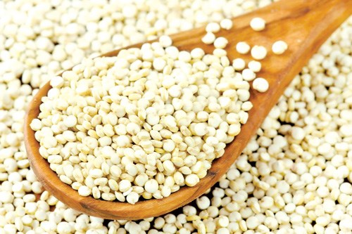 Nguồn protein tốt cho bữa chay