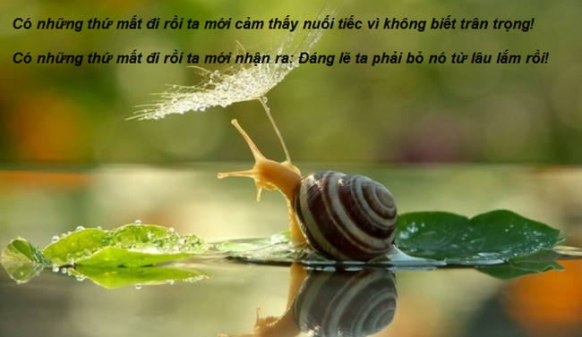 Nhẹ gánh lo âu
