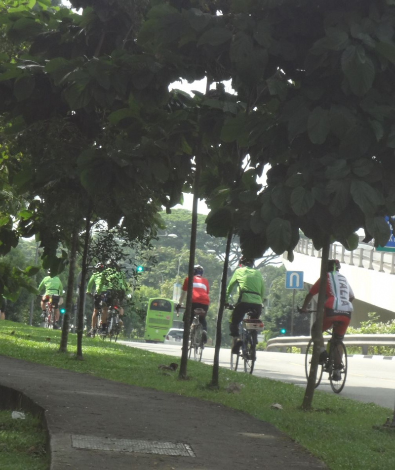 Những vạch dễ thương trên đường.