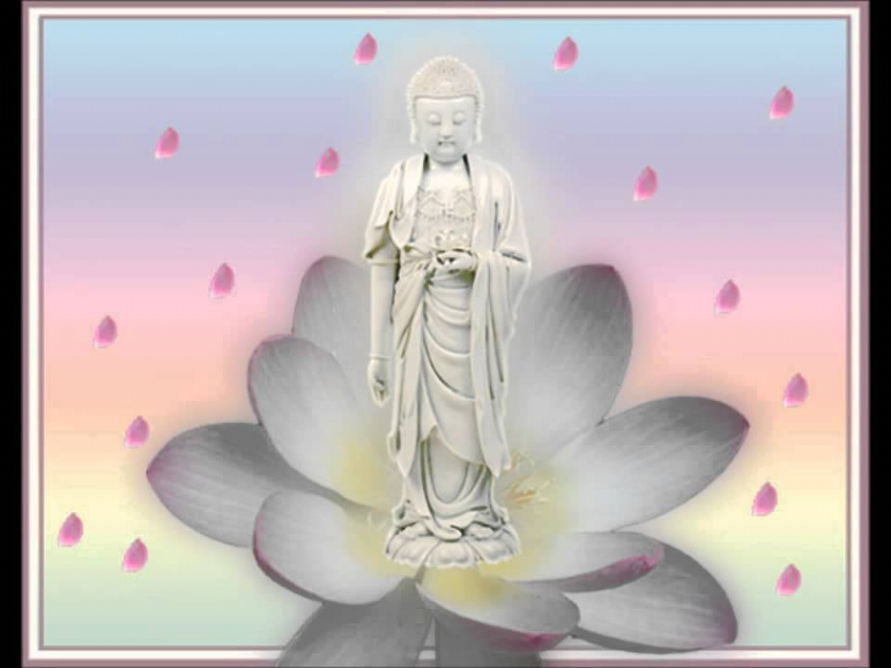 Niệm Phật tam muội