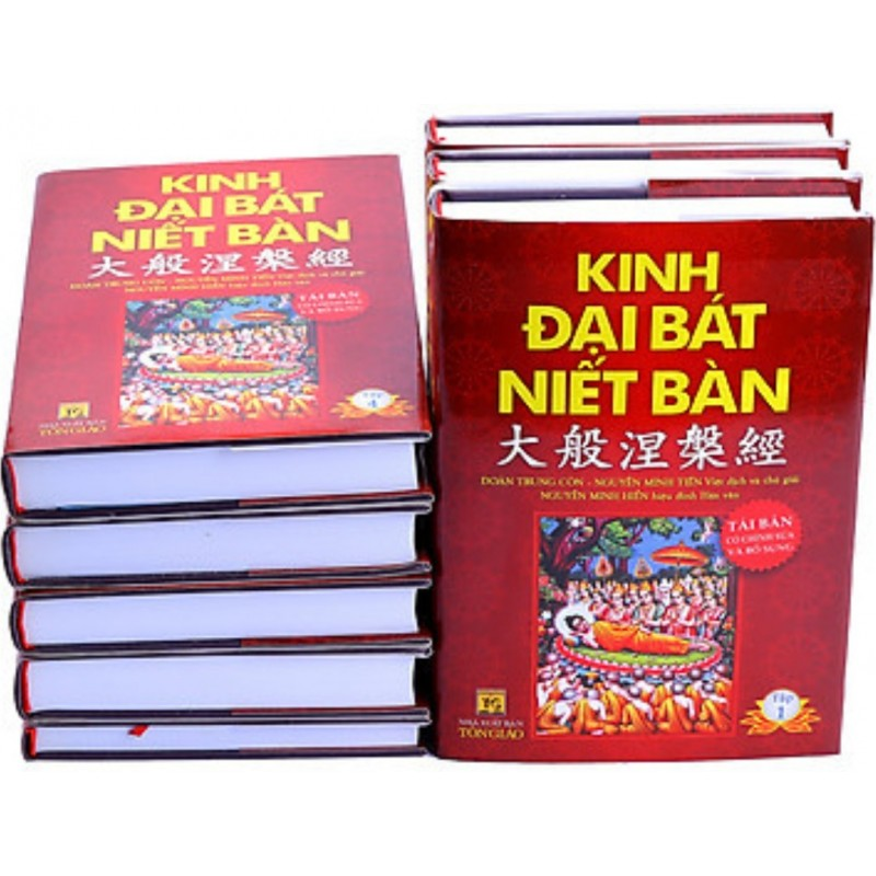 Niết-bàn Kinh Hậu Phần Số 0377 Trong Tạng Đại Chánh Có Phải Là Nội Dung Mà Ngài Đàm-vô-sấm Tìm Kiếm?