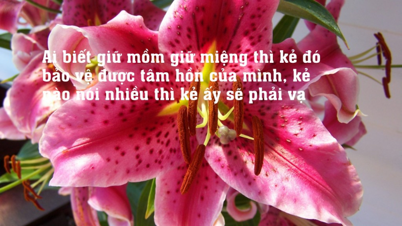 Ở Đời phải 'Biết Giữ Mồm Giữ Miệng'