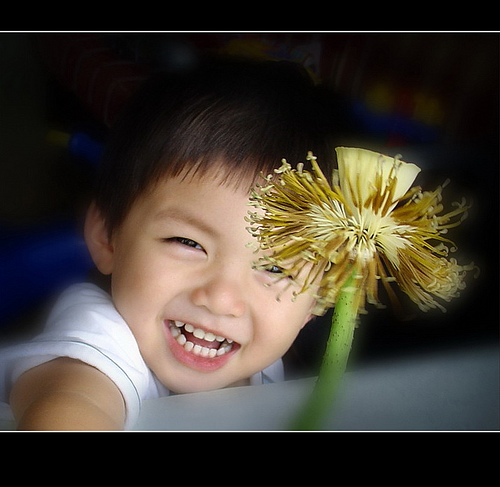 Phải Chi