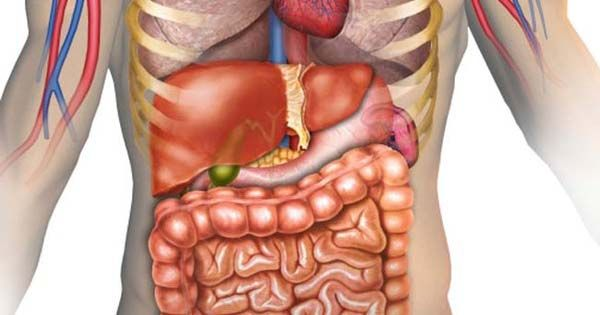 Phán đoán sức khỏe ngũ tạng qua giấc ngủ