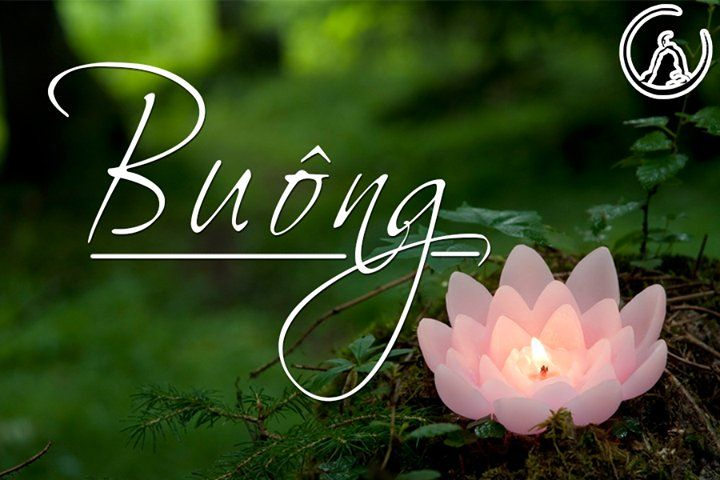 Phật dạy các Tỳ kheo cái gì không phải của mình thì nên buông