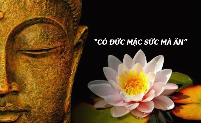 Phúc Báo Do Tự Mình Trồng
