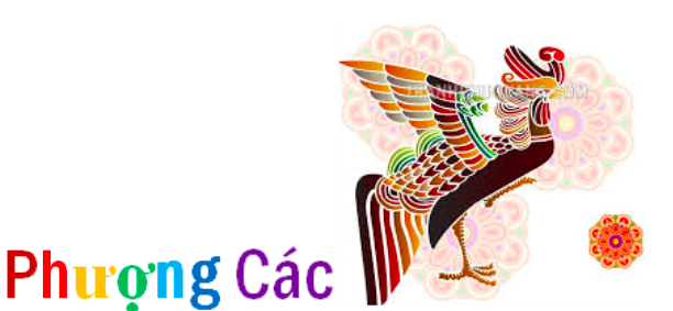 PHƯỢNG CÁC
