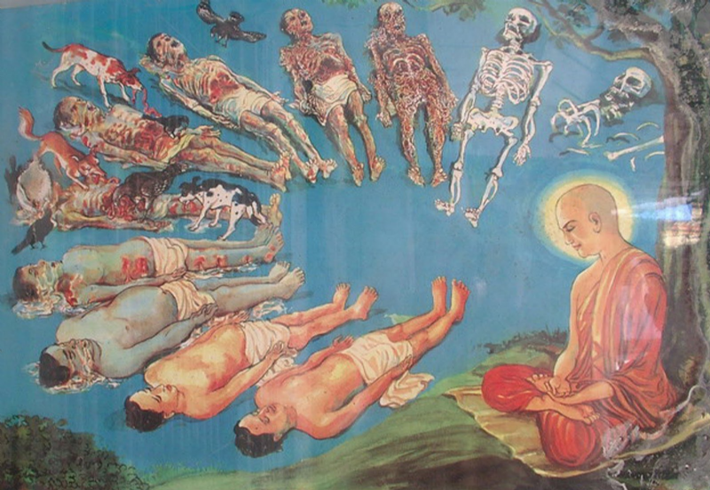 Quán bất tịnh