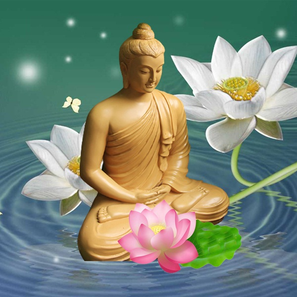 QUANG NĂNG VÀ SỰ CHỨNG ĐẮC