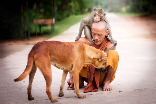 Sát sinh chịu quả báo nặng nề