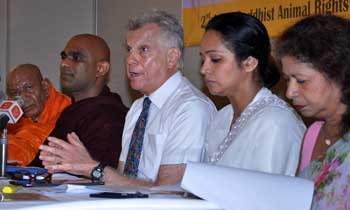 Sri Lanka: Kêu gọi cấm tiêu thụ thịt và giết mổ động vật