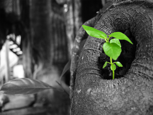 Suy nghiệm về tuổi trẻ của mỗi người