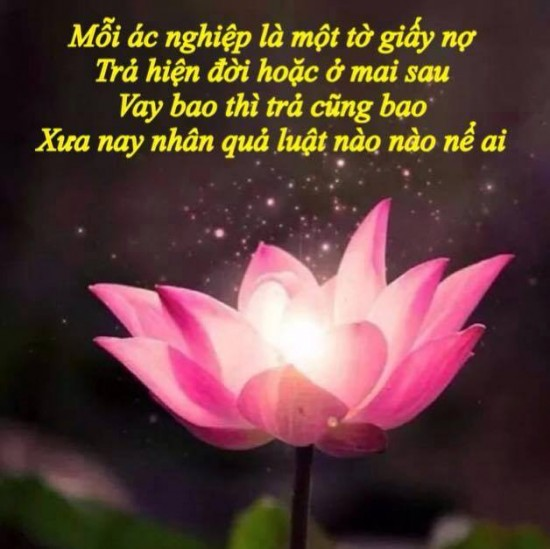 Tài sản theo quan hệ nhân quả