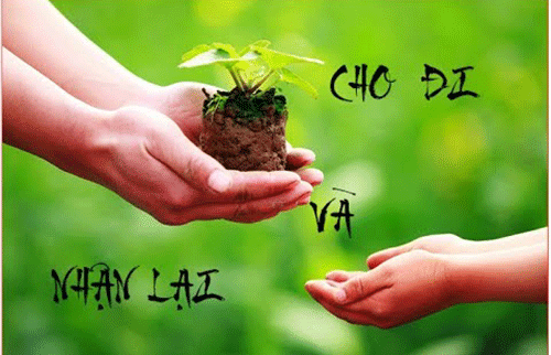 Tại sao làm việc thiện nhưng chưa gặp quả lành?