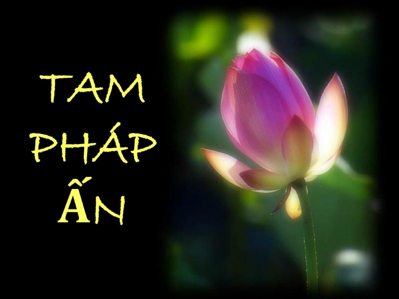 Tam Pháp Ấn - 三法印 - Three Dharma Seals